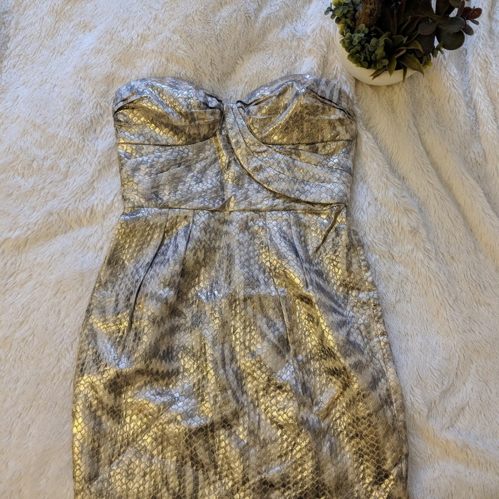 Dress gold and silver tight fit